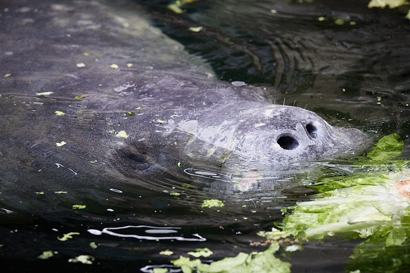 David-March-Zoo-066.jpg
