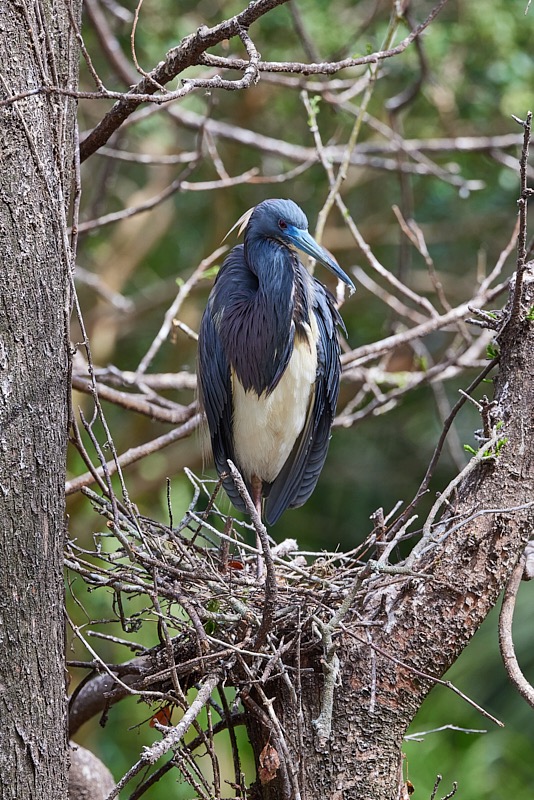 David-March-Zoo-069.jpg