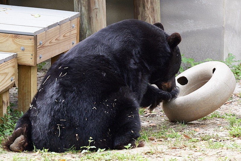 David-March-Zoo-072.jpg