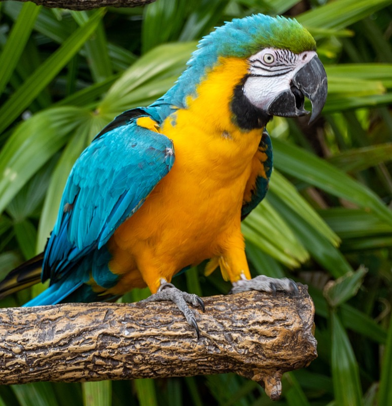 Margaret-March-Zoo-005.jpg