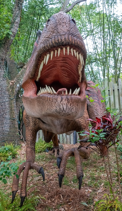 Margaret-March-Zoo-020.jpg