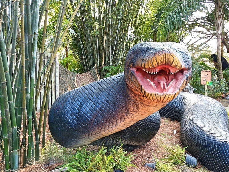 Marty-March-Zoo-007.jpg