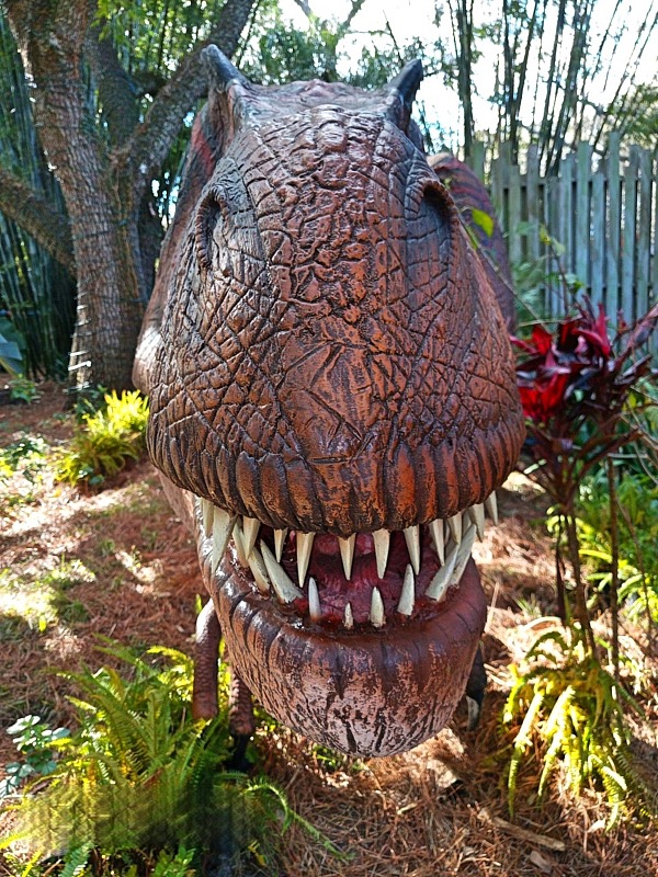 Marty-March-Zoo-015.jpg
