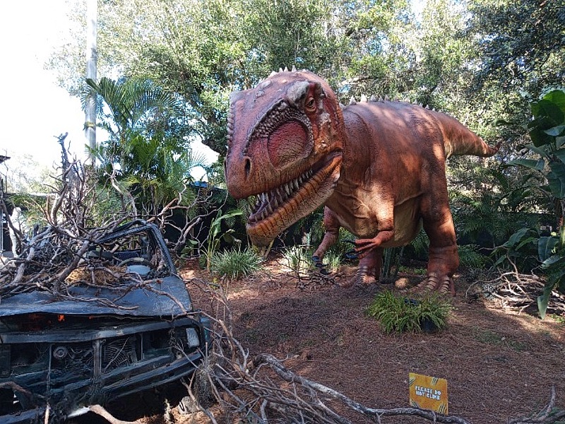 Marty-March-Zoo-019.jpg