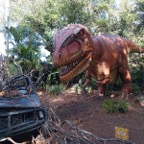 Marty-March-Zoo-019.jpg