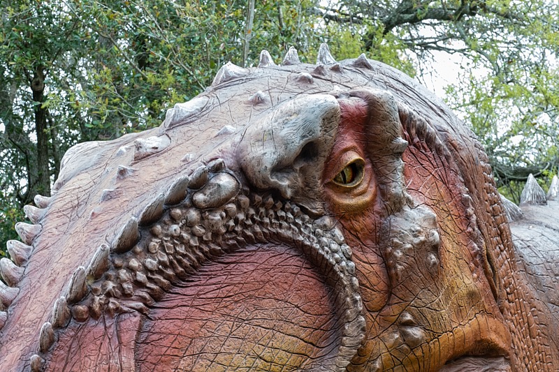 Mary-March-Zoo-018.jpg