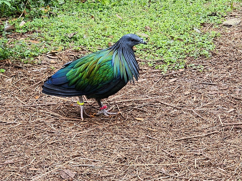 Mary-March-Zoo-041.jpg