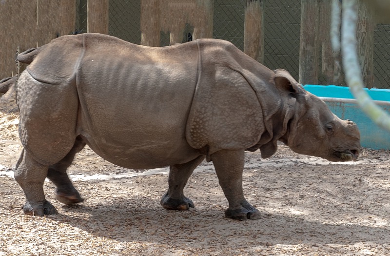 Mary-March-Zoo-043.jpg