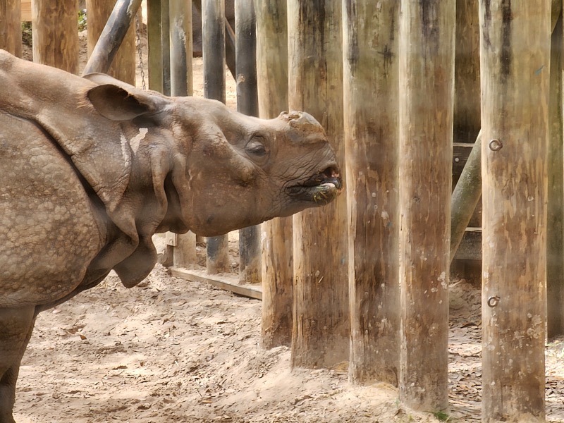 Mary-March-Zoo-044.jpg