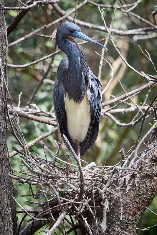 Pat-March-Zoo-057.jpg