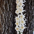 Pat-April-078.jpg