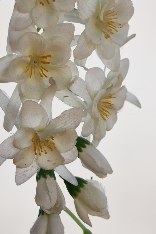 Pat-April-079.jpg