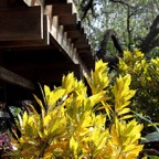 Bob-February-Eureka-009.jpg