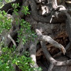 Bob-March-013.jpg