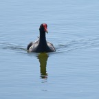 David-March-041.jpg