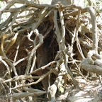 Judy-March-010.jpg