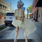 Marty-March-PlantCity-030.jpg