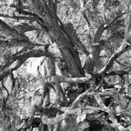Pat-March-041.jpg