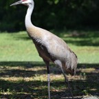 Ron-March-029.jpg