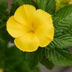 Pat-April-016.jpg