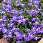 Pat-April-026.jpg