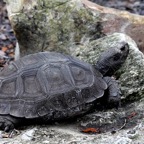 Bob-May-021.jpg