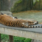 Judy-May-010.jpg