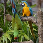 Ron-May-002.jpg