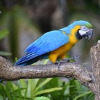 Ron-May-004.jpg
