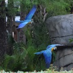 Ron-May-005.jpg