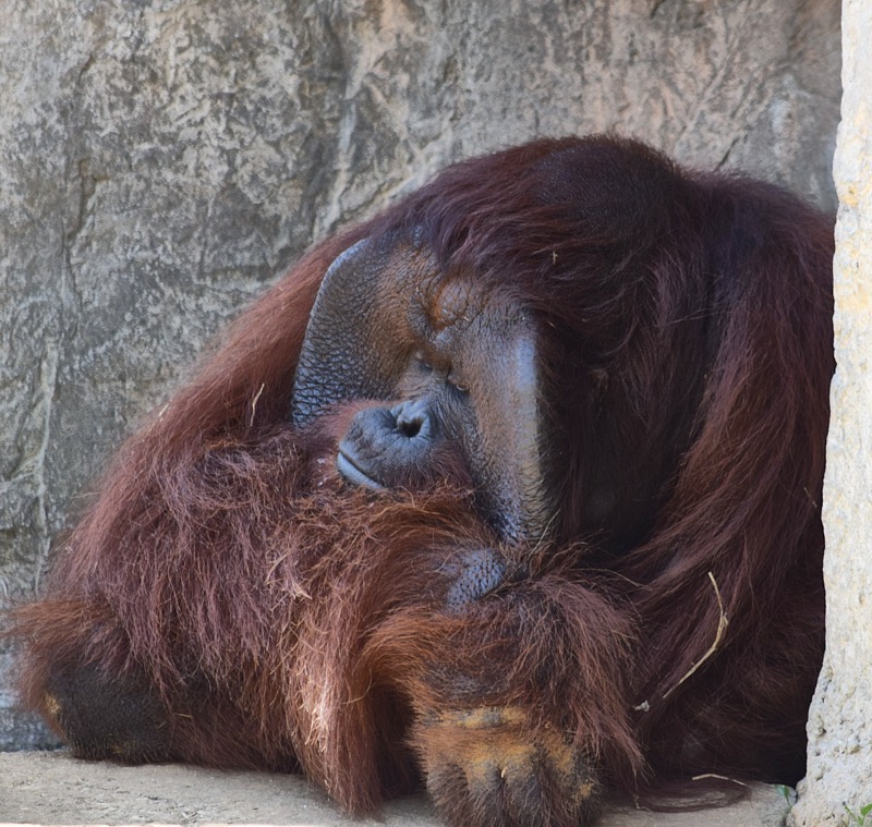 Ron-May-009.jpg