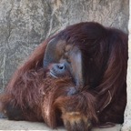Ron-May-009.jpg