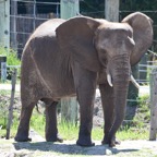 Ron-May-029.jpg