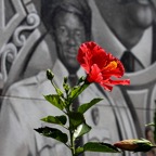 Bob-July-010.jpg