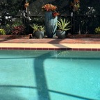 David-July-001.jpg