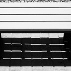 David-July-029.jpg