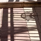 Pat-August-016.jpg