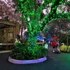 Campbell-December-001.jpg