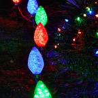 David-December-066.jpg