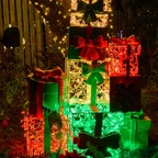 Pat-December-062.jpg