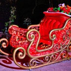 Pat-December-063.jpg