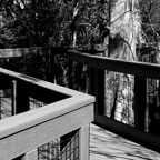 Bob-March-010.jpg