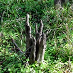 Bob-March-016.jpg