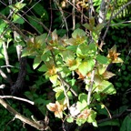 Bob-March-024.jpg