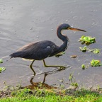 Bob-March-030.jpg