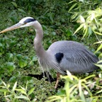 Bob-March-031.jpg
