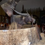 David-April-053.jpg
