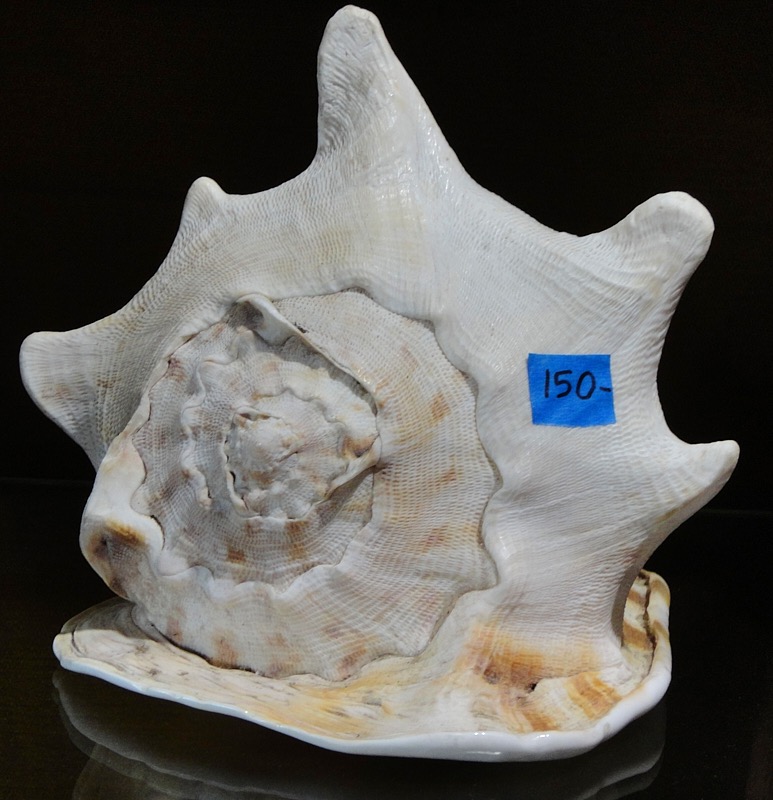 Rebecca-April-007.jpg