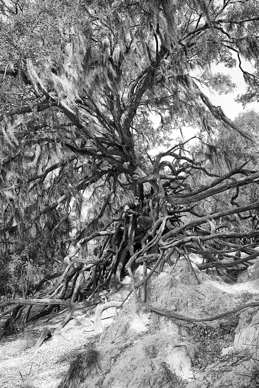 David-May-008-BW.jpg