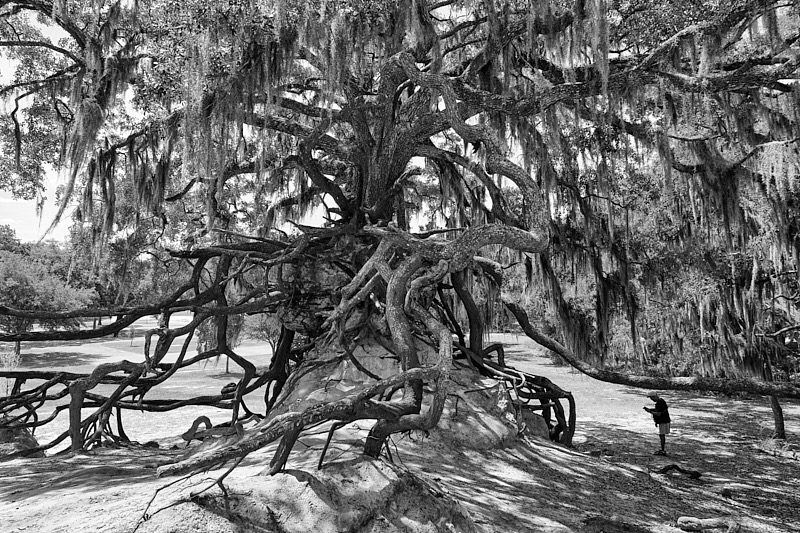 Pat-May-039-BW.jpg